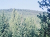 basecamp-049