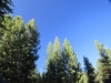 basecamp-141