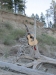 copy_0_lakekoocanusa-52