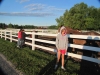 copy_0_ratzs-013