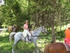 horseback-63-1