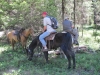 horseback-72-1