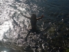 dscn0177
