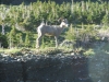 dscn1968