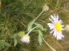 dscf1491