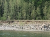 IMG_0900