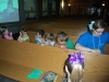 20110608_004_vbs