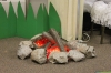 vbs_2013_182
